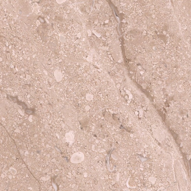 Dino Beige Marble Slab Dino Beige Marble Slab